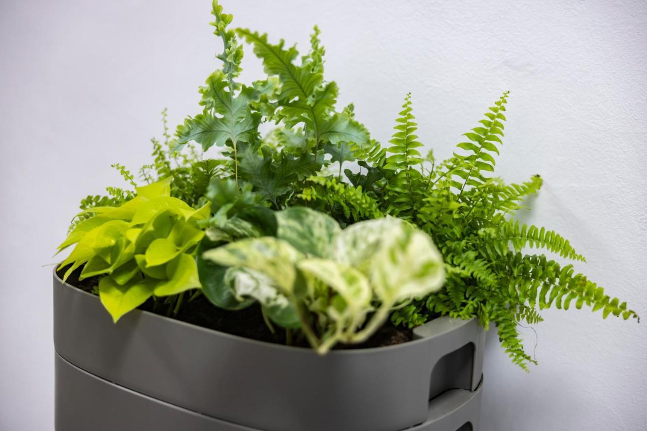 Apartment Nezarka A Privatni Wellness Jindřichův Hradec