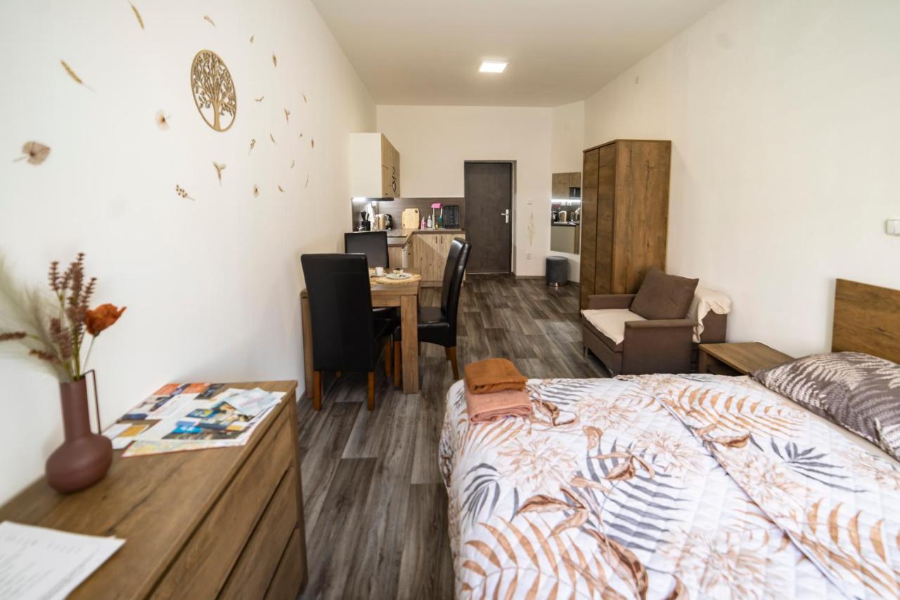 Nezarka A Privatni Wellness Apartment Jindrichuv Hradec